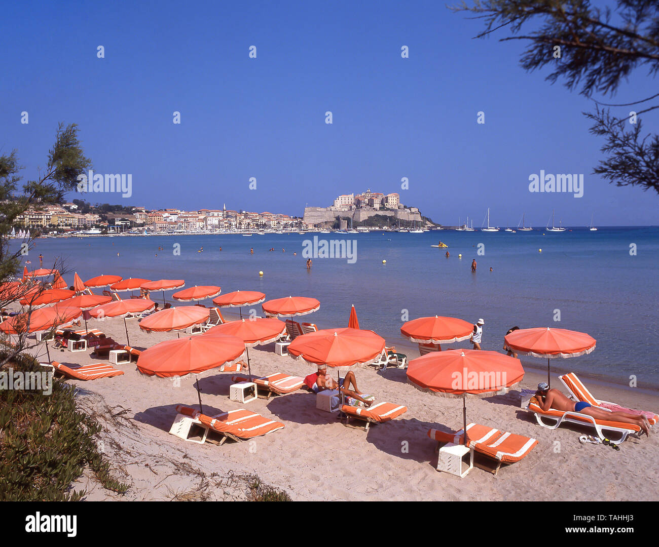 Blick auf die Stadt und den Strand, Calvi, Korsika (Corse), Frankreich Stockfoto