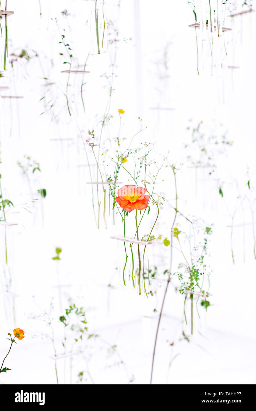 Hängende Vasen auf der Chelsea Flower Show 2019 Stockfoto