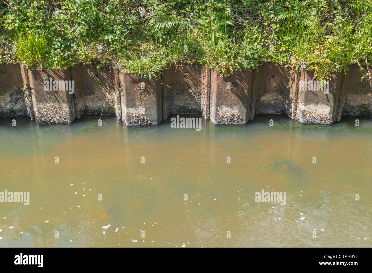 Metallbarriere bank Seite Bodenerosion durch Wasser zu reduzieren. Konzept-, Erosion Control, Erosion Management, den Hochwasserschutz. Stockfoto
