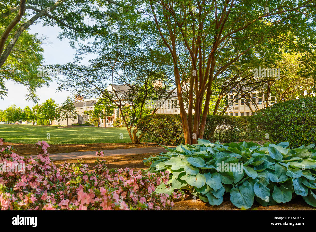 GREENVILLE, SC, USA - 2. Mai: Furman, Halle an der Furman University am 2. Mai 2019 in Greenville, South Carolina. Stockfoto