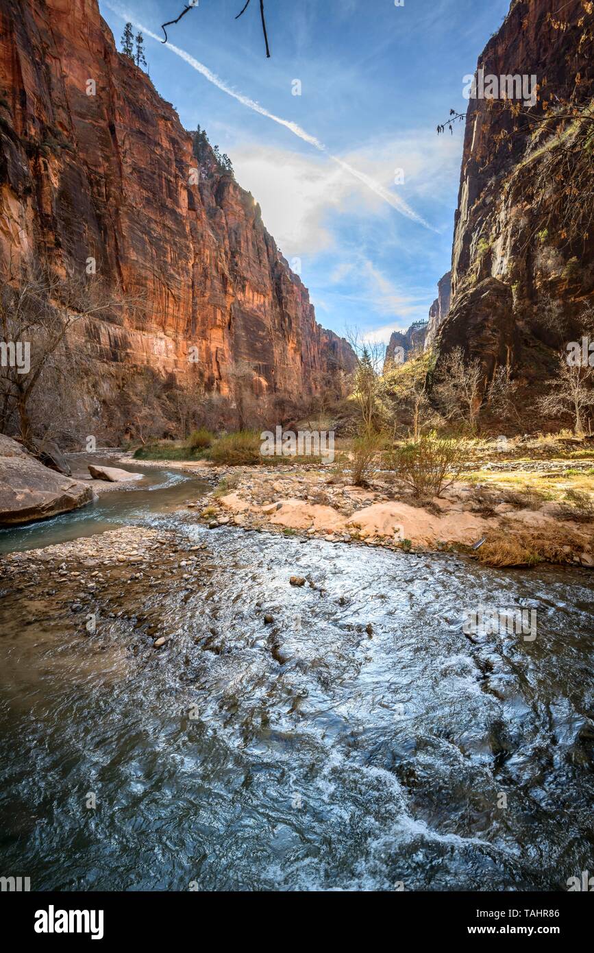 Fluss Virgin River fließt durch den Zion Canyon, Riverside Walk, die Narrows, Zion National Park, Utah, USA Stockfoto