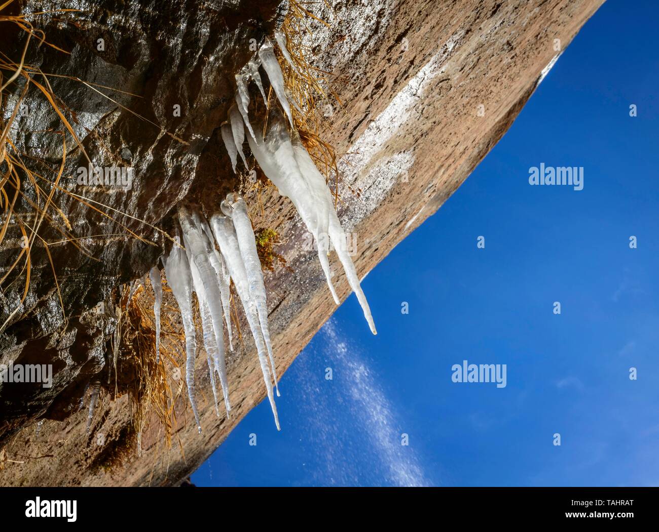 Eiszapfen hängen an Felswand, Emerald Pools Trail im Winter, Zion National Park, Utah, USA Stockfoto