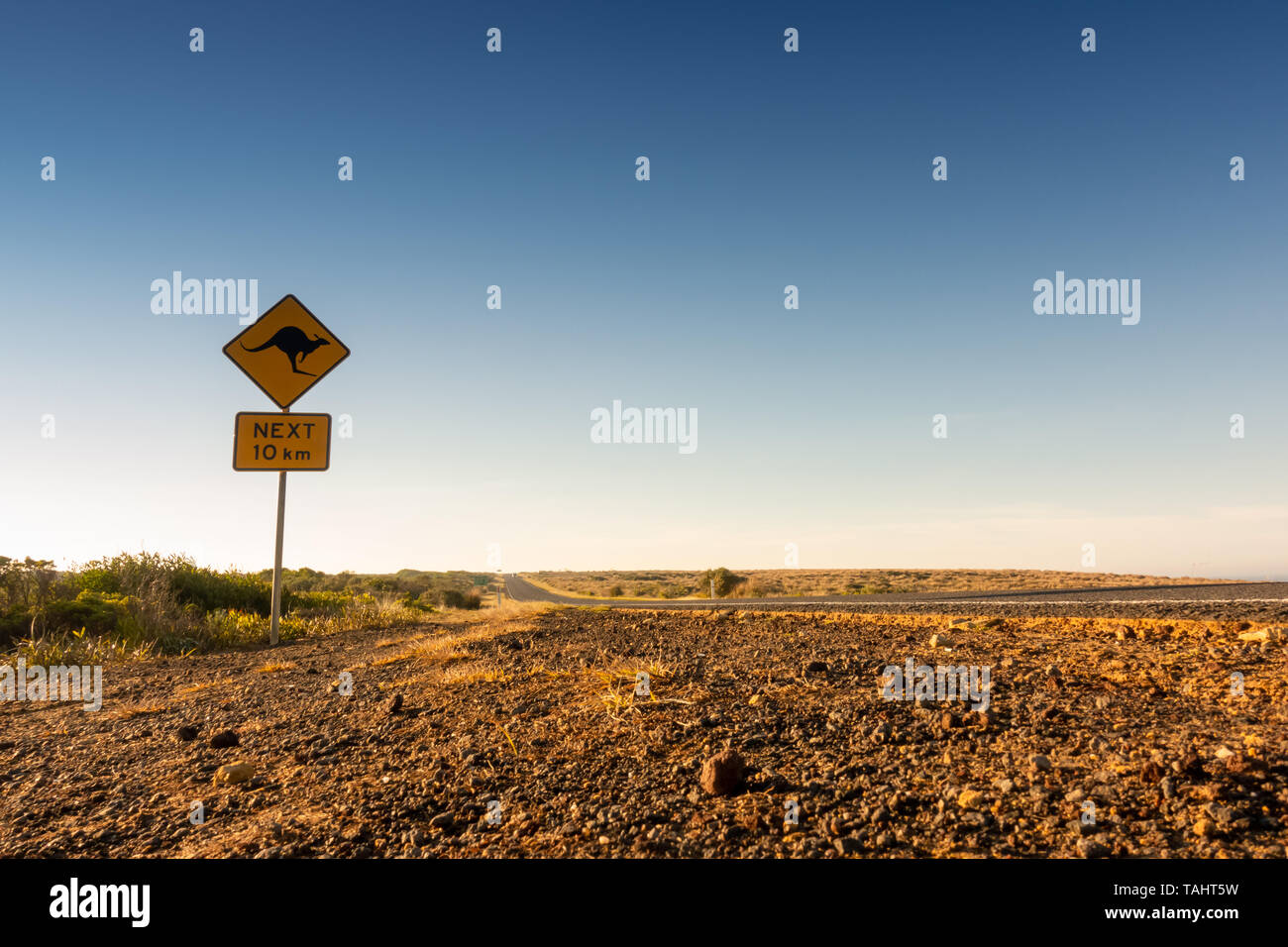 Kangaroo crossing Schild Warnung Treiber in Australien Stockfoto