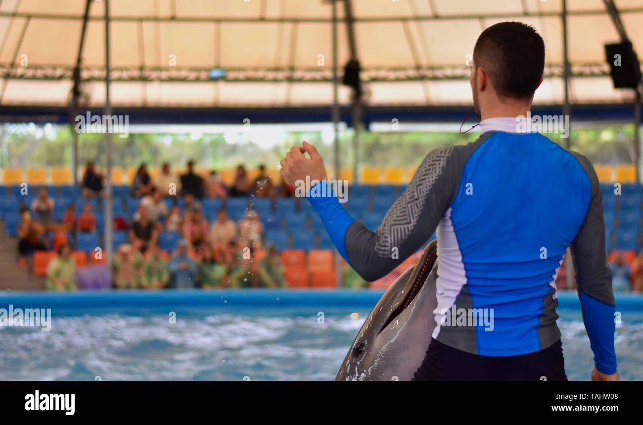 Bild von einem Trainer mit einem Delphin. Stockfoto