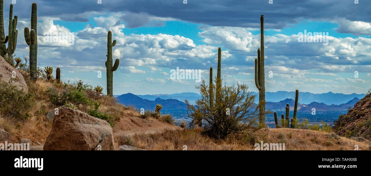 Breite Verhältnis Landschaft Blick über das Tal der Sonne, Phoenix, AZ, von einem Wanderweg in Scottsdale. Stockfoto