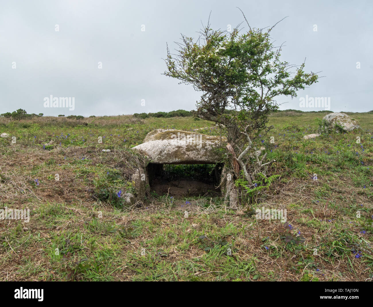 Tregeseal Eingang Grave/gekammert Carn, antike Stätte in der Nähe von St. Just, Cornwall, Großbritannien Stockfoto