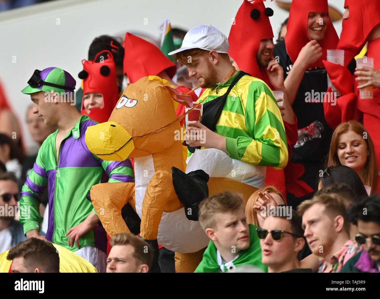 Fans gekleidet, wie Pferde und Jockeys. 25.05.2019. Credit: Sport in Bildern/Alamy leben Nachrichten Stockfoto
