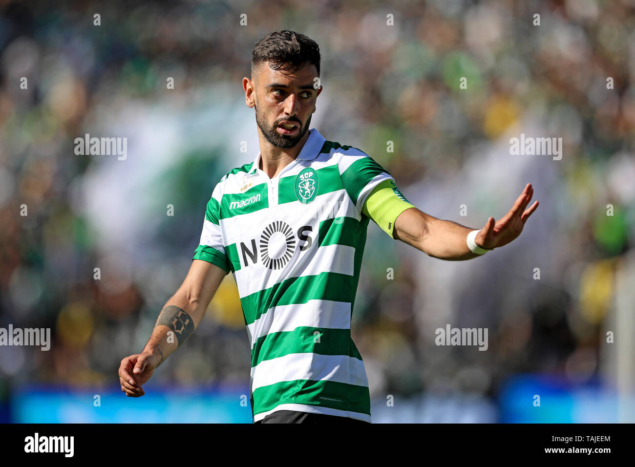 Bruno Fernandes von Sporting CP in Aktion während der WM von Portugal Plakat 2018/2019, Endrunde - Fußballspiel zwischen Sporting CP vs FC Porto. (Endstand: Sporting CP2 (5) - 2 (4) FC Porto Stockfoto