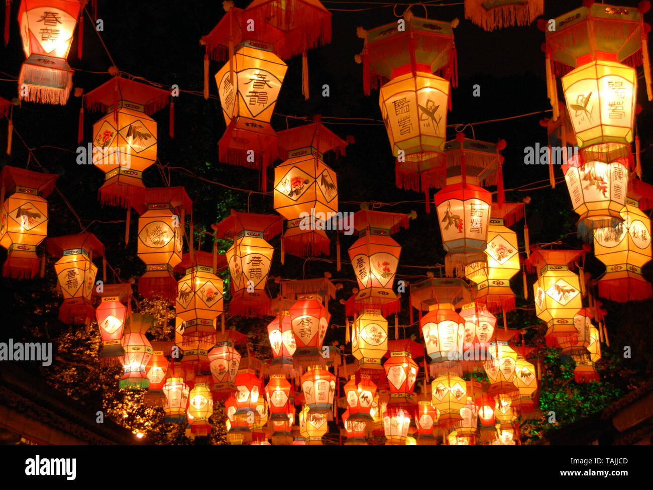 Chinesische Laternen in Chengdu an der Wuhou Tempel Laternenfest in Chengdu, China. Die roten und goldenen Laternen sind für das chinesische Neujahr. Rote Laternen. Stockfoto