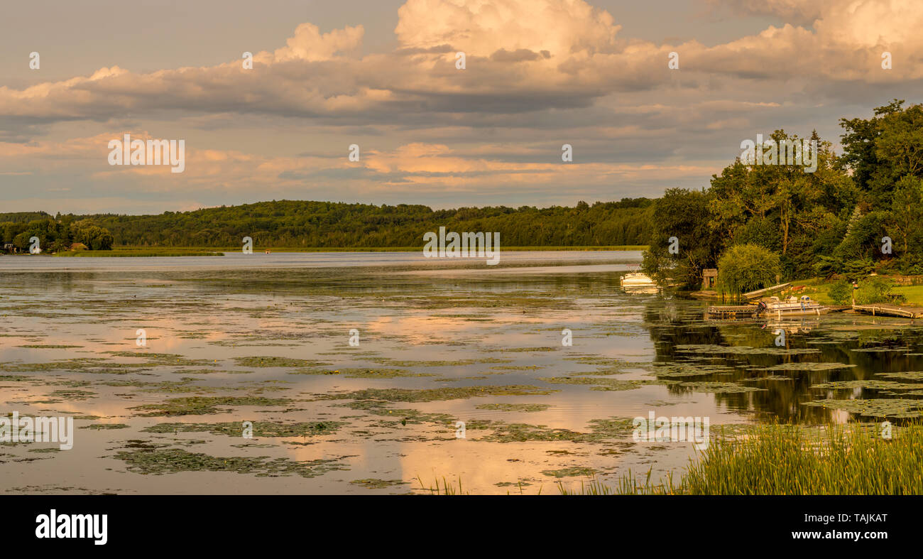Ferienhaus See Sommer Szene mit ruhigen See mit Inseln und Wasserpflanzen und nett cloud Reflexion auf ruhigem Wasser Stockfoto