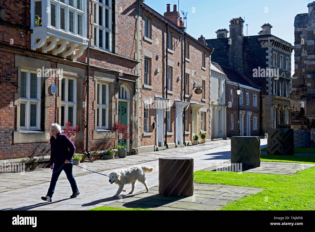 Spaziergang mit dem Hund: Churchside, Howden, East Yorkshire, England, Großbritannien Stockfoto