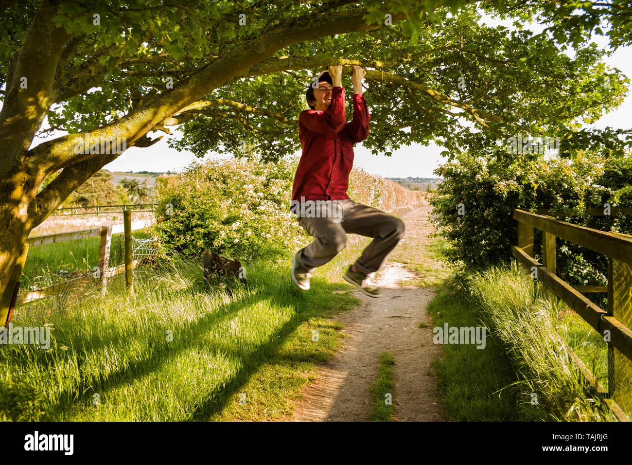 Jakob klettert einen Baum Thaxted Essex England UK Mai 2019 junger Mann klettert einen Baum. Model Released - Fotografen Sohn Stockfoto