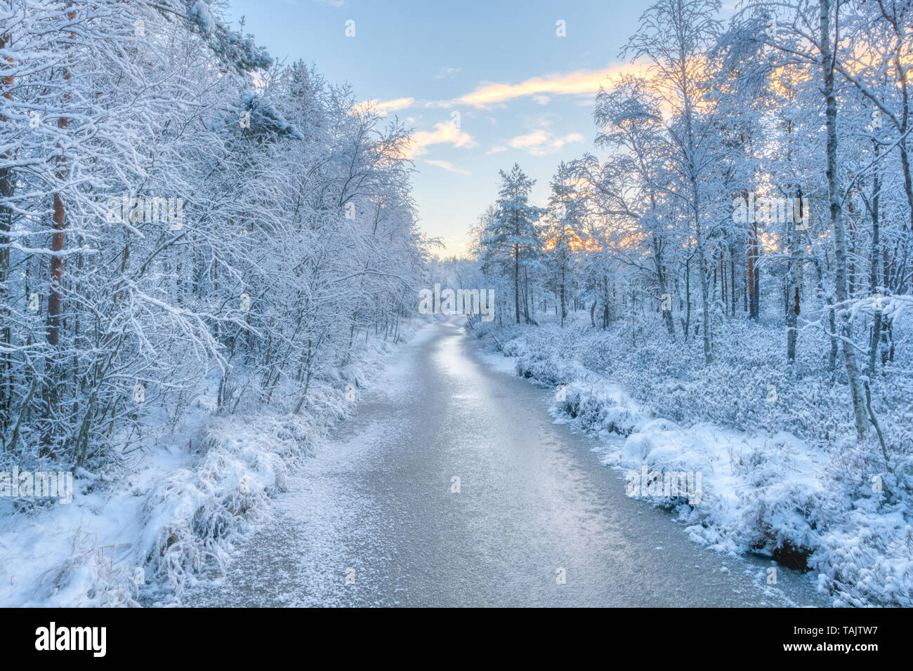 Ethereal Schnee Wald und ein Fluss Stockfoto