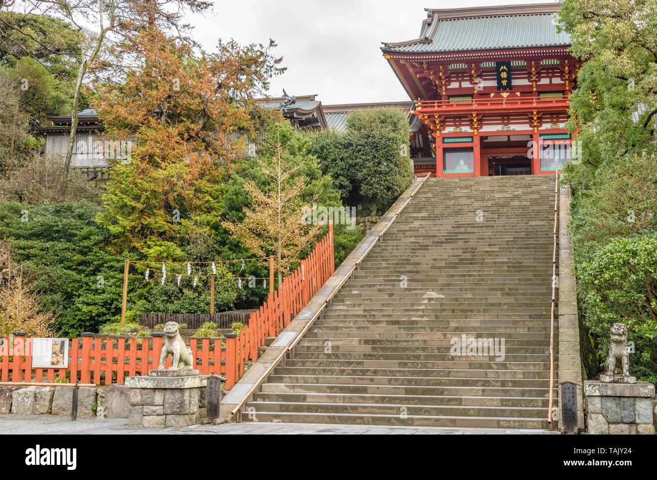 Hauptschrein am Tsurugaoka Hachimangu Schrein, Kamakura, Kanagawa, Japan Stockfoto