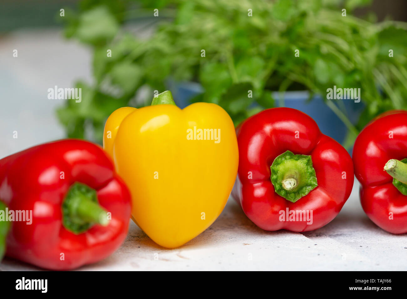 Drei rote Gemüsepaprika in Vorverpackungen mit einem gelben Paprika und Koriander im Hintergrund Stockfoto