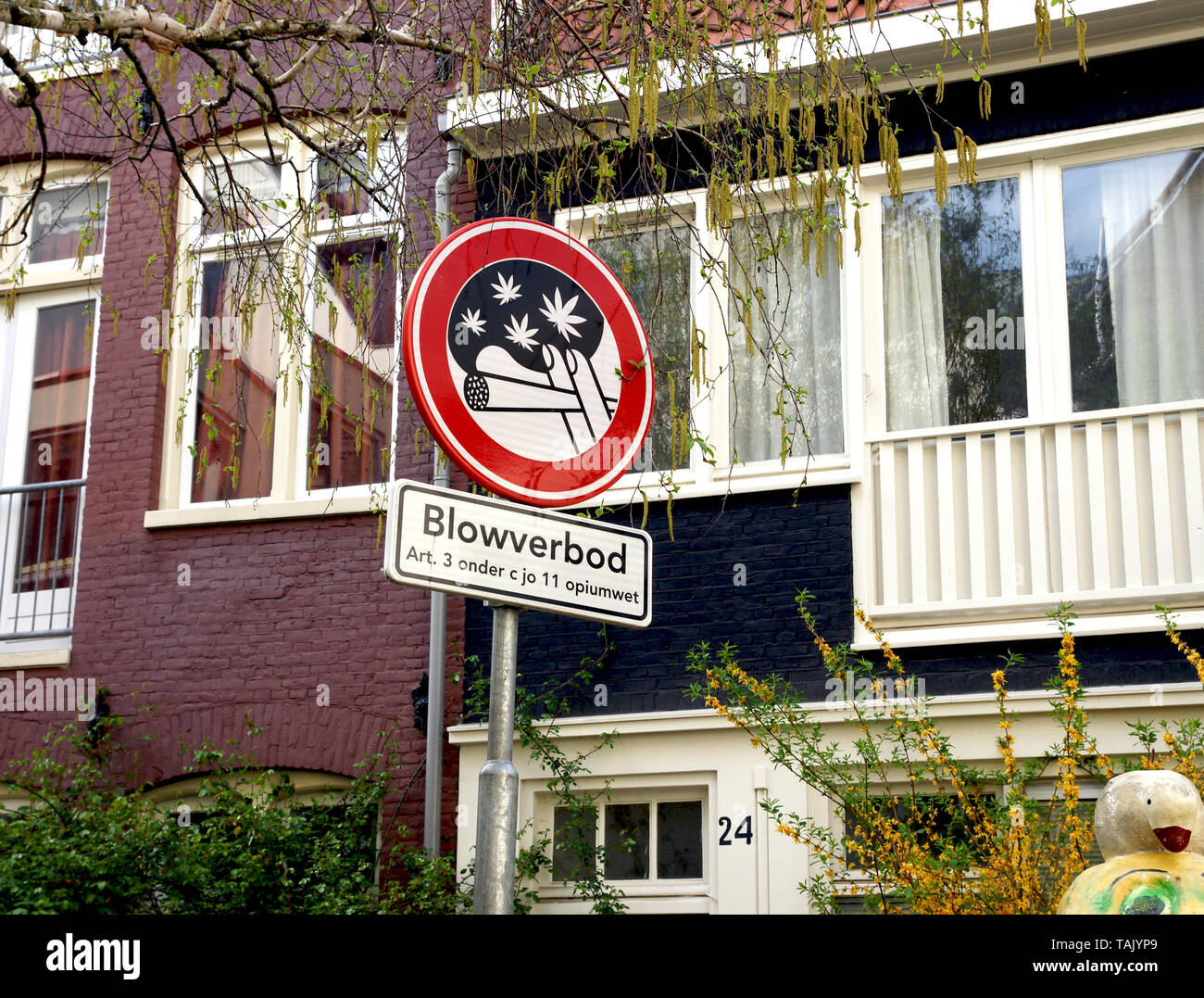 Kein Gras rauchen Cannabis Schild (Warnschild). Wie ein Verkehrsschild. Grafik Design Symbol in Amsterdam, Niederlande. Stockfoto