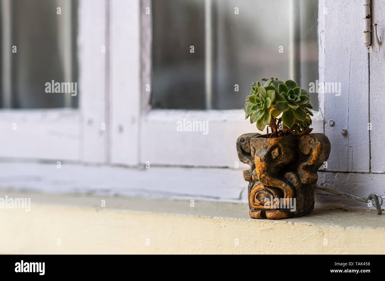 Eine saftige, Echeveria, in einem Garten Topf/Blumentopf auf der Fensterbank/Fensterbank wächst. Der Topf ist in der Form von Lord Ganesha geprägt. Stockfoto