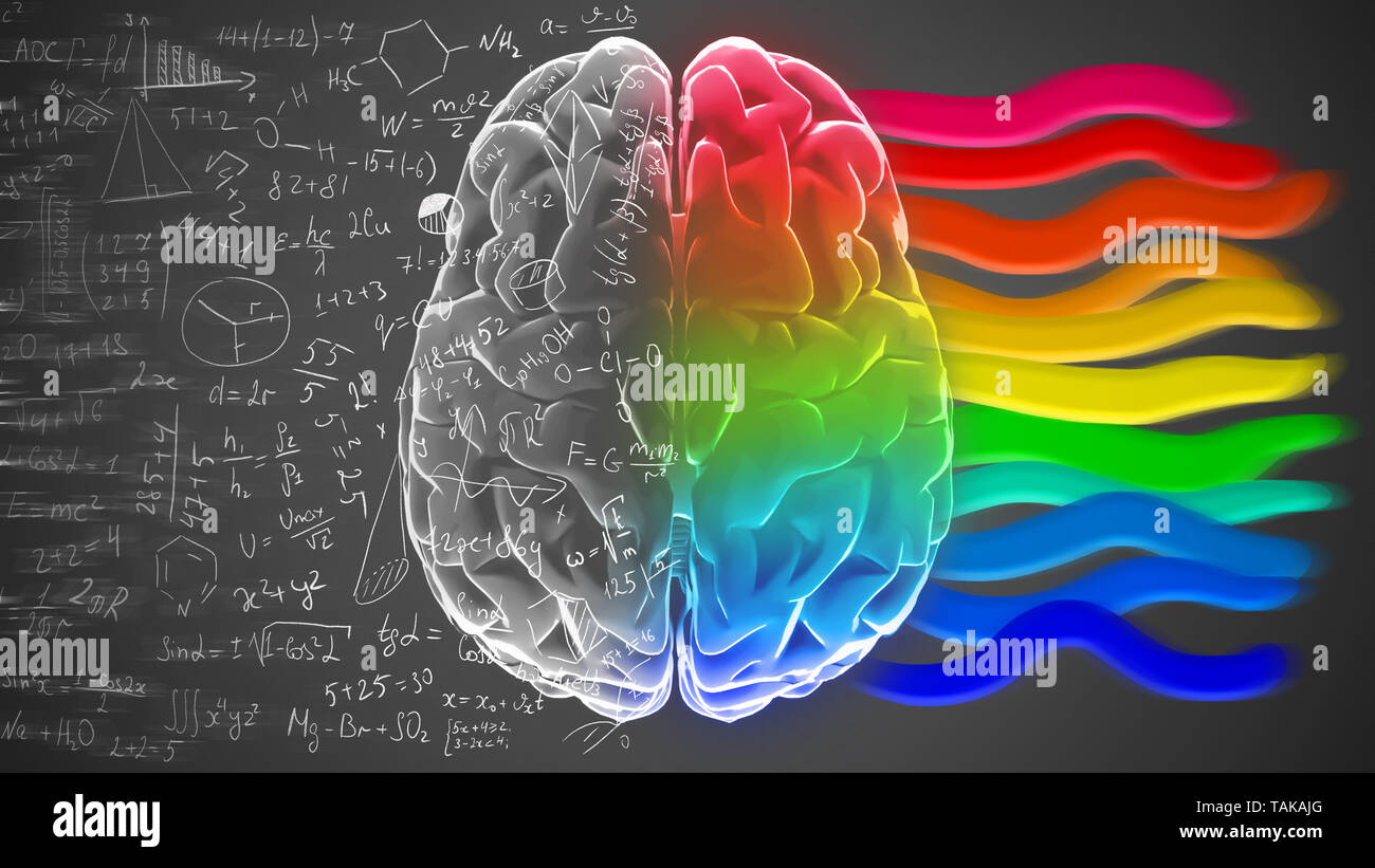 Kreative und logische Hälften des menschlichen Geistes. Stockfoto