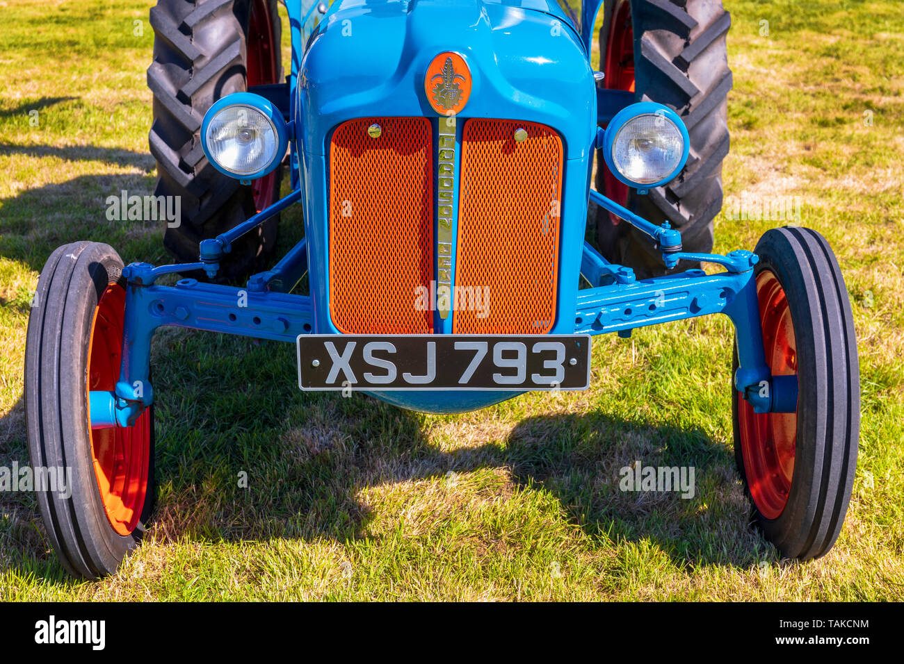 Renovierte Fordson Dexta landwirtschaftlichen Schlepper auf Anzeige an eine Landwirtschaftliche zeigen, Ayr, Ayrshire, Schottland, Großbritannien Stockfoto