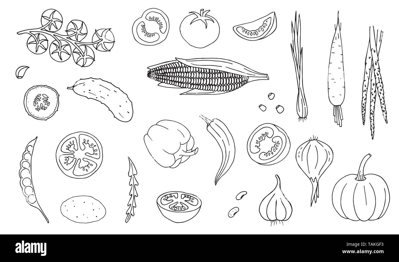 Gemüse Hand gezeichneten Stil Farbe weiß auf schwarzem Hintergrund. Stock Vektor
