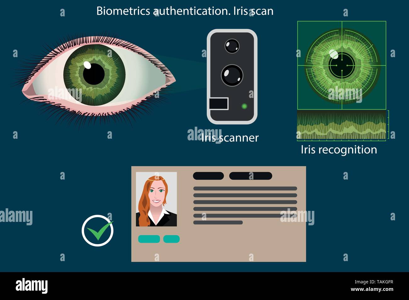 Iris Scan - biometrische Authentifizierungsverfahren Grafik, Vektor Infografiken Stock Vektor