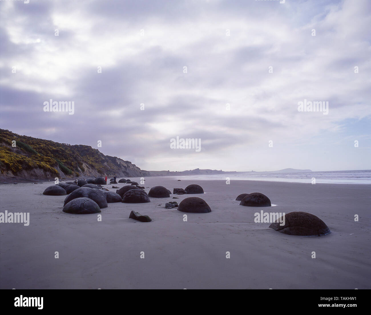 Die Moeraki Boulders am Koekohe Strand, Moeraki, North Otago, Region Otago, Südinsel, Neuseeland Stockfoto