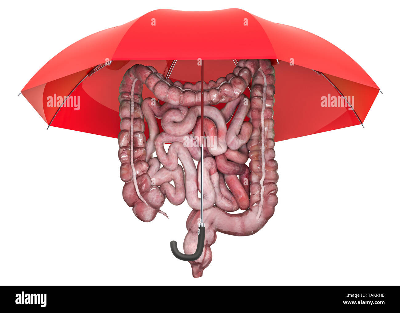 Menschlichen Darm unter dem Dach, Schutzkonzept. 3D-Rendering auf weißem Hintergrund Stockfoto