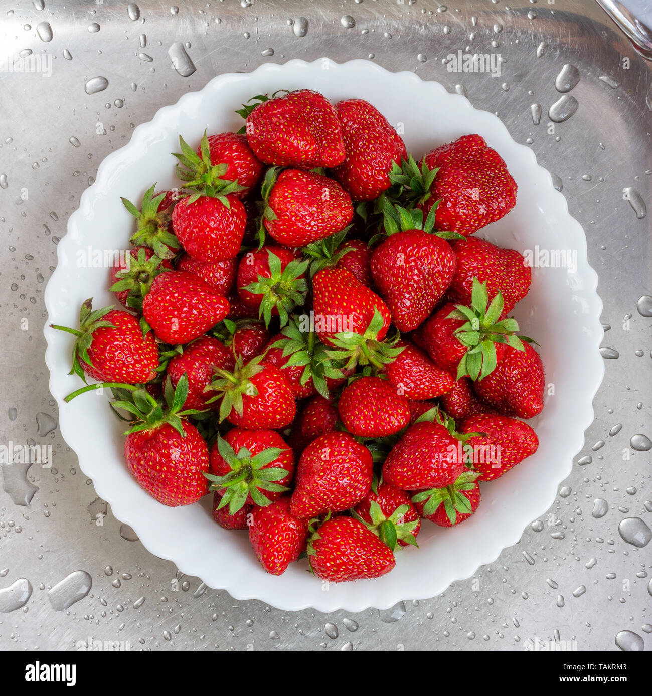 Die Beeren reifen süße Erdbeeren in weisser Schale gewaschen in der Spüle Nahaufnahme, Ansicht von oben Stockfoto