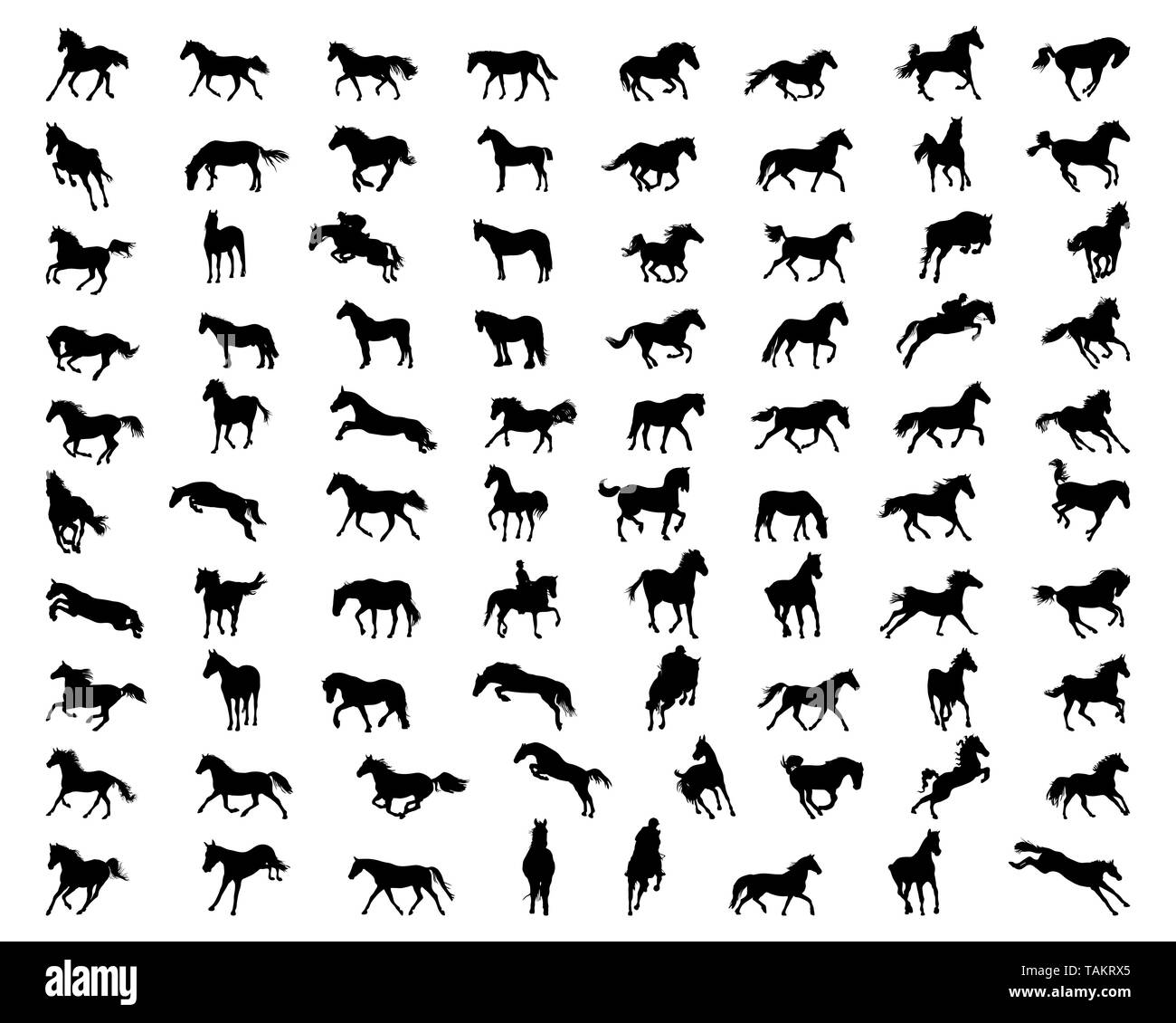 Schwarze Silhouetten von Pferden auf weißem Hintergrund Stockfoto