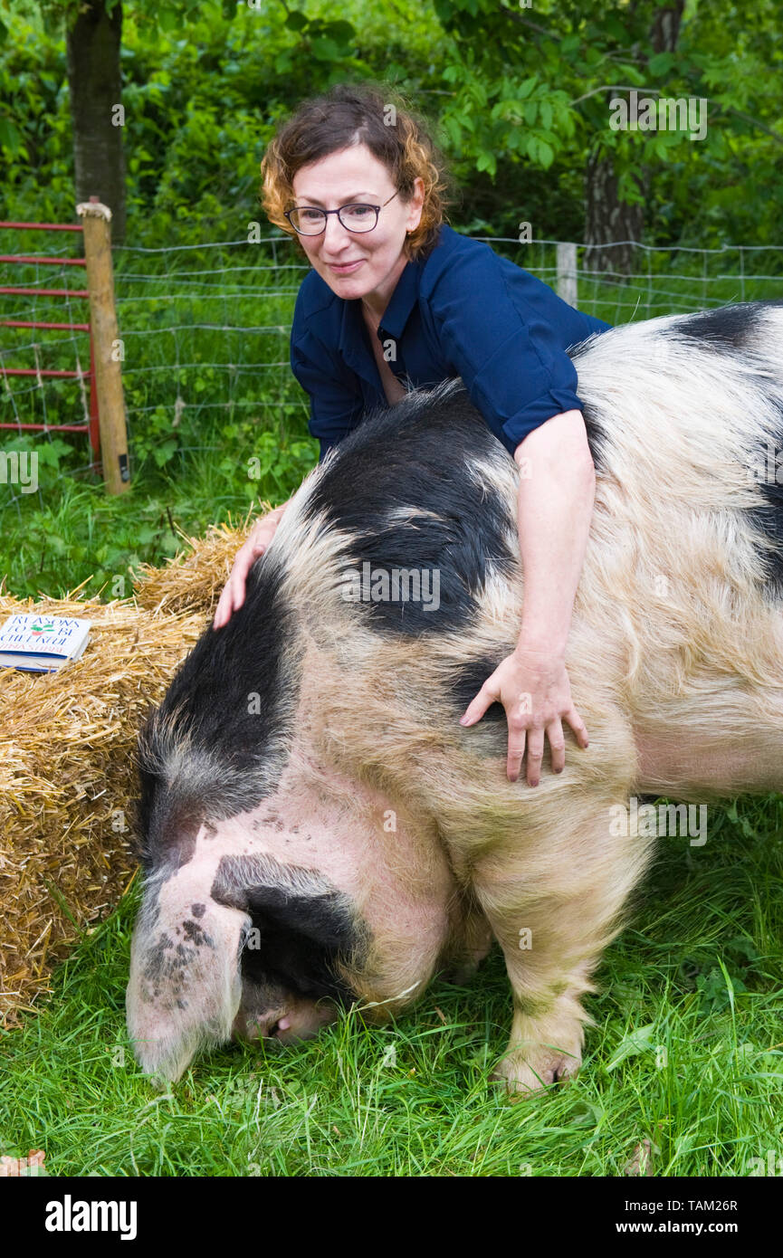 Thema Nina Stibbe Sieger von 2019 Bollinger Everyman Wodehouse Prize für Comic Fiktion mit ihren Preis ein Gloucester alten Spot Wildschwein benannt nach ihrem preisgekrönten Roman Gründe zu Heiter bei Hay Festival Hay-on-Wye Powys Wales UK Stockfoto