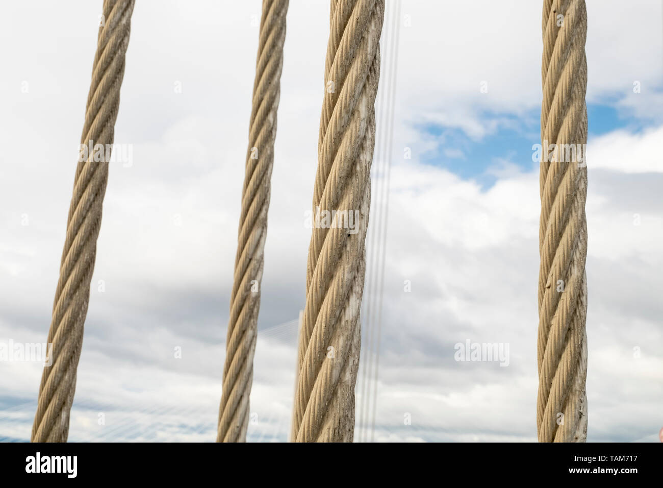Detaillierte Nahaufnahmen der vier Unterstützung Kabel der Forth Road Bridge Queensferry, in der Nähe von Edinburgh, Schottland, Großbritannien Stockfoto