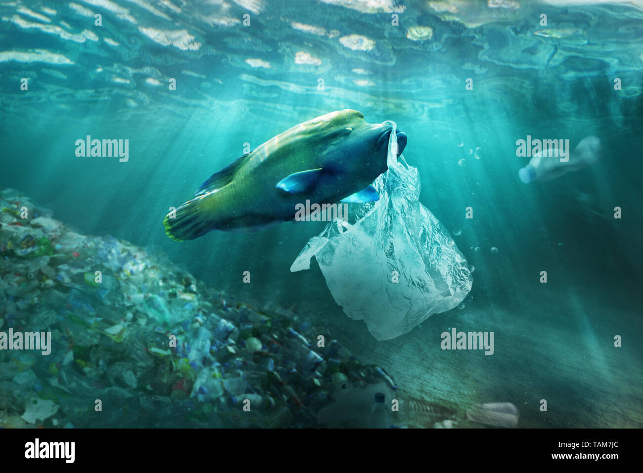 Kunststoff Verschmutzung im Ozean Umweltproblem. Fische können Plastiktüten essen. Stockfoto