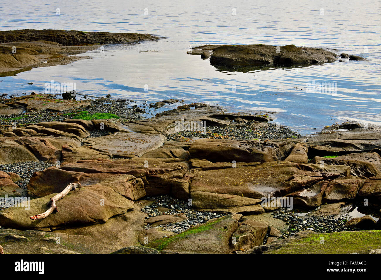 Ein horizontales Bild eines felsigen Ufer entlang der Küste von Vancouver Island, British Columbia Kanada. Stockfoto
