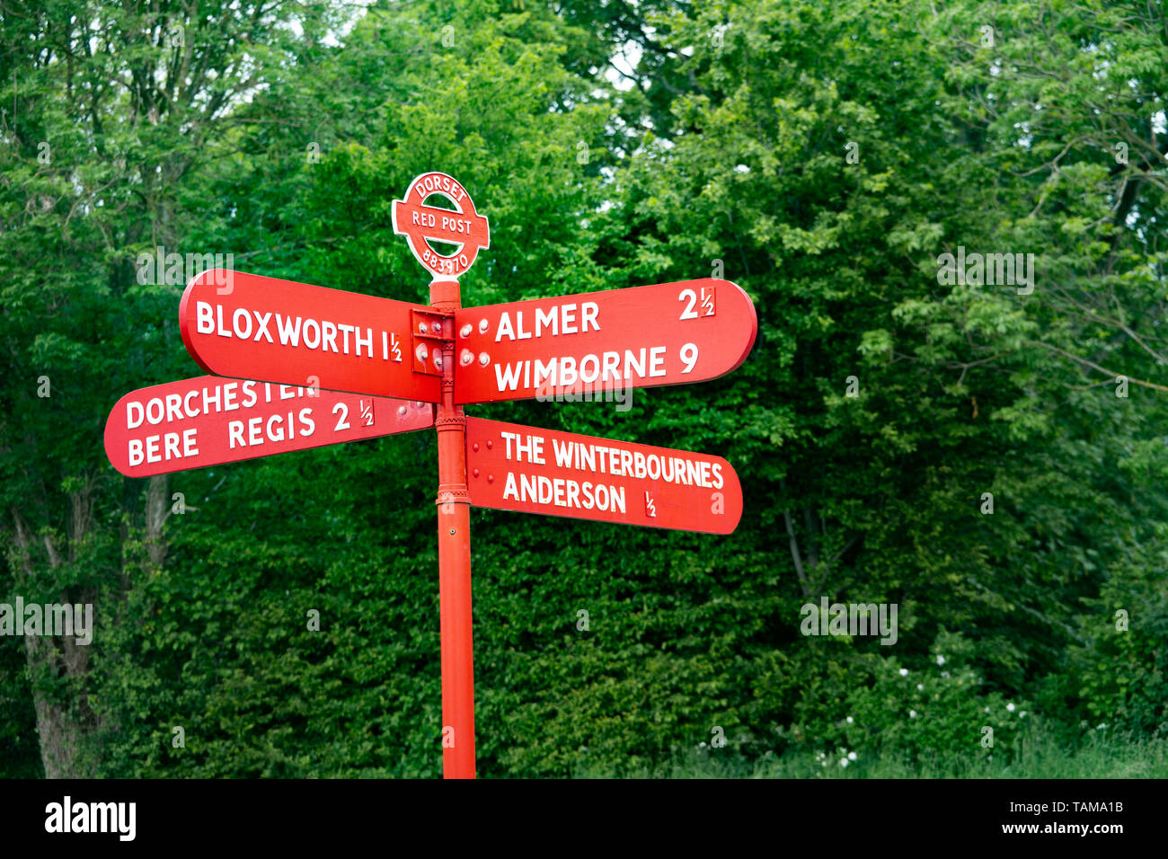 Rote Wegweiser (fingerpost), Dorset, Großbritannien, das die Grid Reference auf der roundel (883970) zwischen Bere Regis und Wimborne Minster auf einem 31. Stockfoto