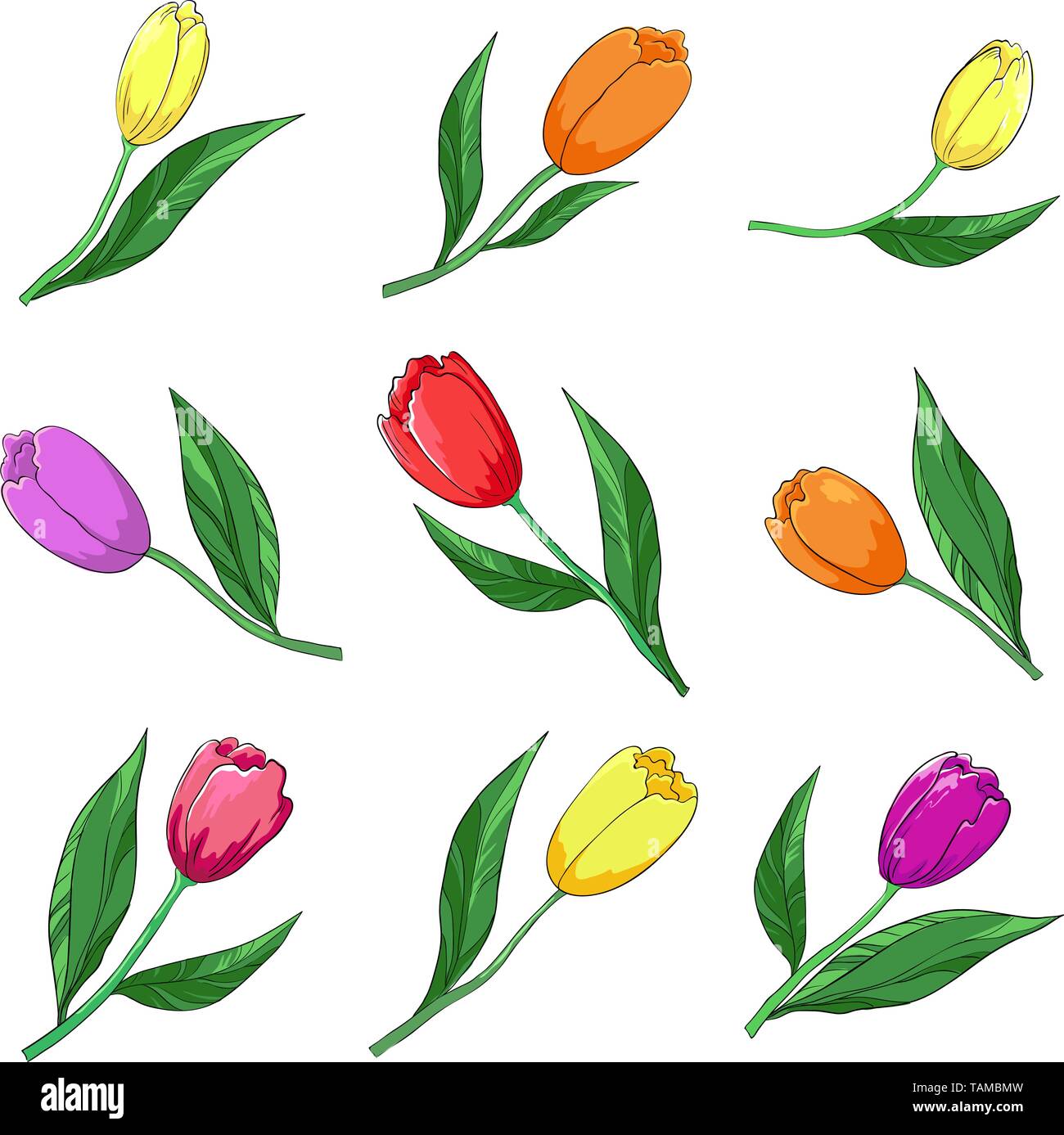 Blumen, bunte Tulpen, Vector, isoliert auf eine weiße, einstellen Stock Vektor