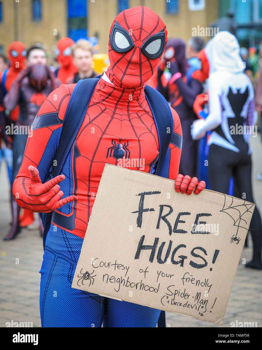 London, Großbritannien. Mai 2019. Kostenlose Umarmungen von Ihrer freundlichen Nachbarschaft Spiderman! Eine freundliche Gruppe von über dreißig Spidermen und Spiderfrauen aus einer Social-Media-Gruppe namens „Spider-verse“ posieren einen Sturm und haben Spaß an der Veranstaltung. Am dritten und letzten Tag der MCM Comic Con kommen wieder Tausende Cosplayer und Fans von Comics, Spielen, Sci Fi und Fantasy in fantastischen Kostümen und Outfits im Excel London zusammen, um ihre Lieblingsfiguren zu feiern. Kredit: Imageplotter/Alamy Live Nachrichten Stockfoto