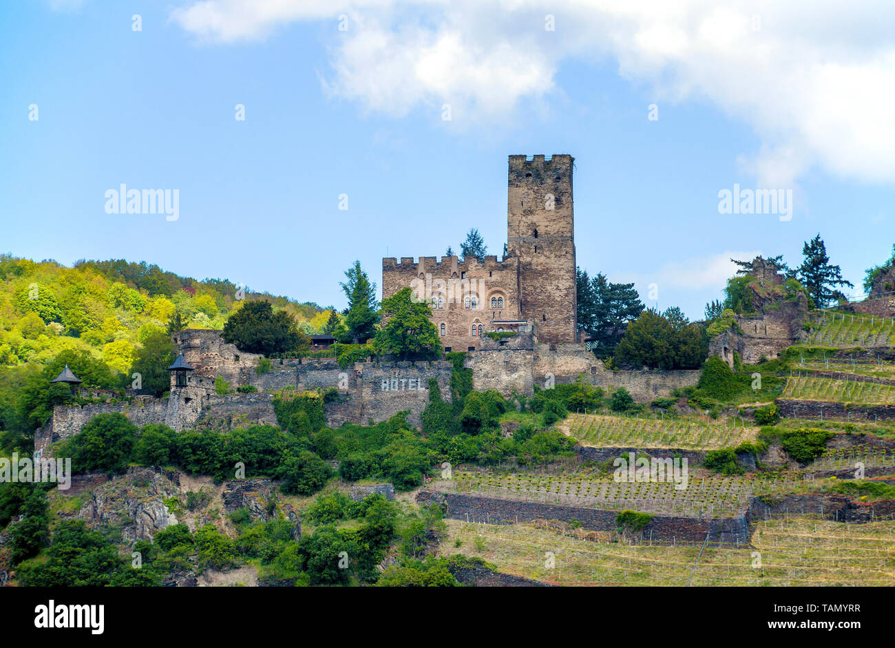 Burg Gutenfels bei Kaub, Unesco Welterbe Oberes Mittelrheintal, Rheinland-Pfalz, Deutschland Stockfoto
