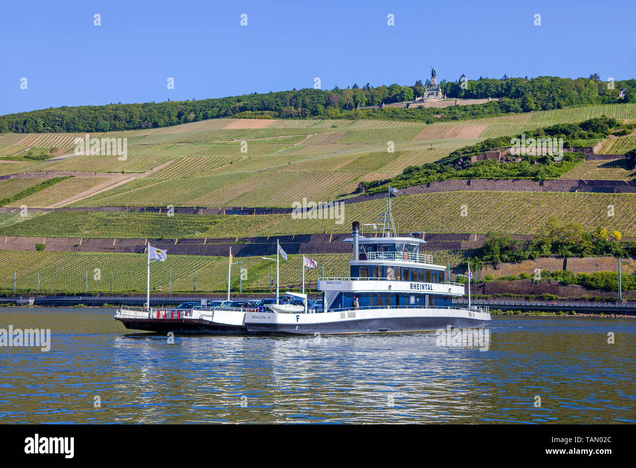Die Fähre von Bingen nach Rüdesheim, über dem Niederwalddenkmal, Unesco Welterbe Oberes Mittelrheintal, Rheinland-Pfalz, Deutschland Stockfoto
