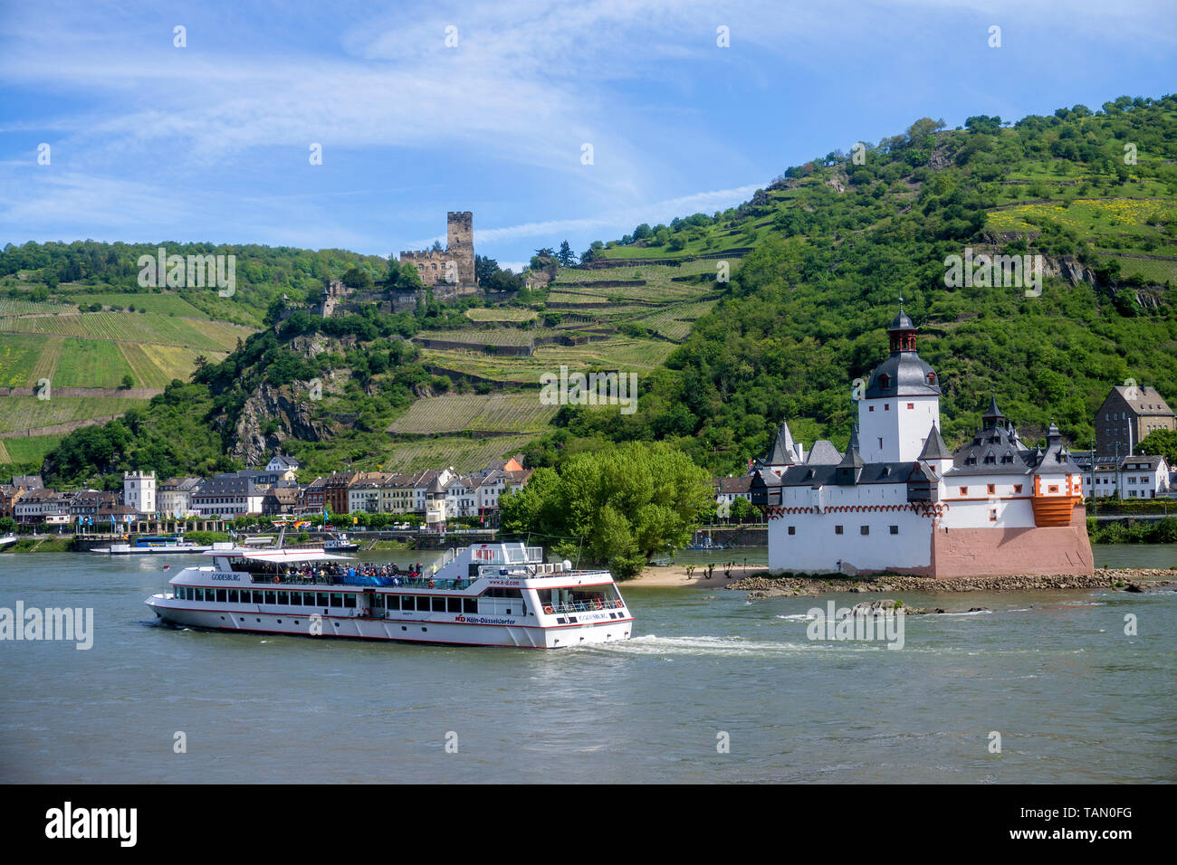 Ausflugsschiff auf Pfalzgrafenstein, oberhalb der Burg Gutenfels, Kaub, Oberes Mittelrheintal, Rheinland-Pfalz, Deutschland Stockfoto Ausflugsschiff auf Pfalzgrafenstein, oberhalb der Burg Gutenfels, Kaub, Oberes Mittelrheintal, Rheinland-Pfalz, Deutschland Stockfoto