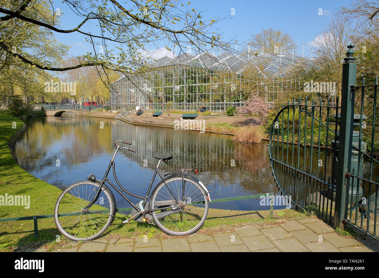 Reflexionen der Gewächshäuser des Botanischen Gartens (Hortus Botanicus), Plantage, Amsterdam, Niederlande Stockfoto