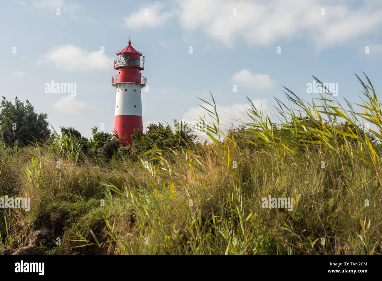 Falshoeft Leuchtturm, Ostsee, Schleswig-Holstein, Deutschland Stockfoto