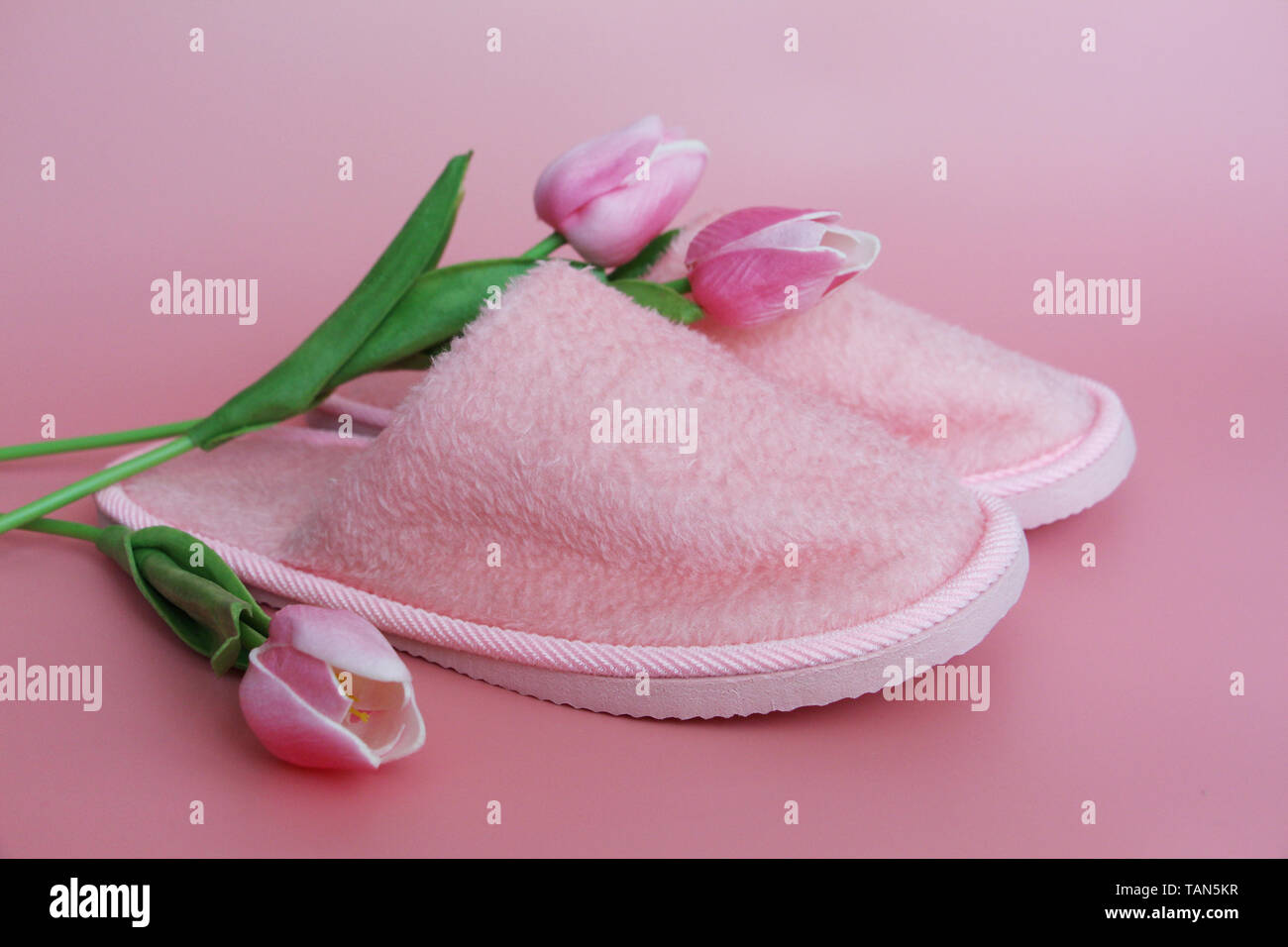 Rosa Hausschuhe auf einem rosa Hintergrund. In der Nähe befinden sich rosa Blüten. Home terry Hausschuhe und Tulpen auf einem rosa Hintergrund. Stockfoto