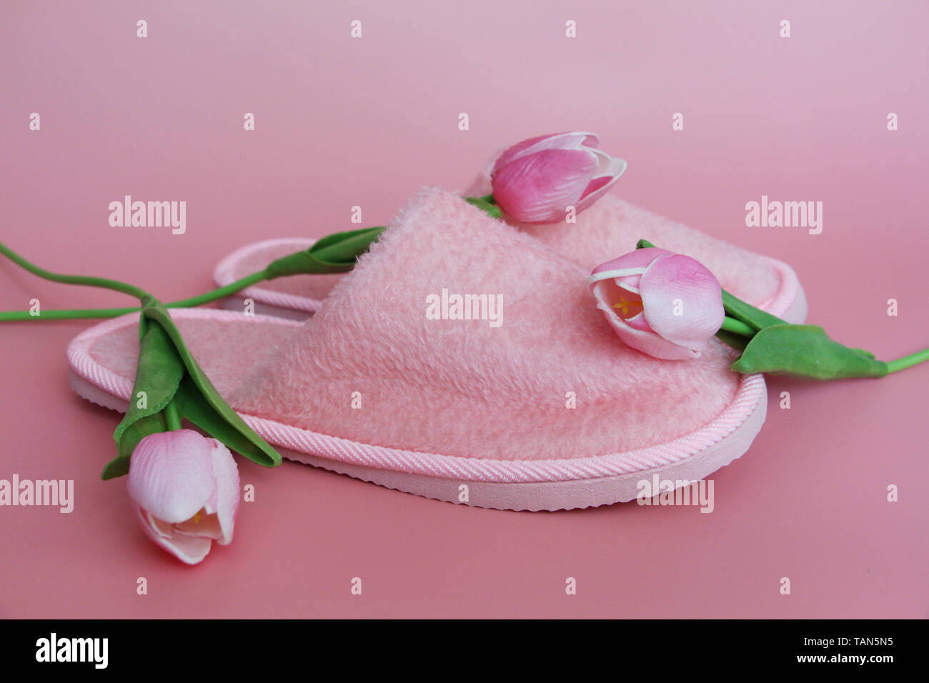 Rosa Hausschuhe auf einem rosa Hintergrund. In der Nähe befinden sich rosa Blüten. Home terry Hausschuhe und Tulpen auf einem rosa Hintergrund. Stockfoto