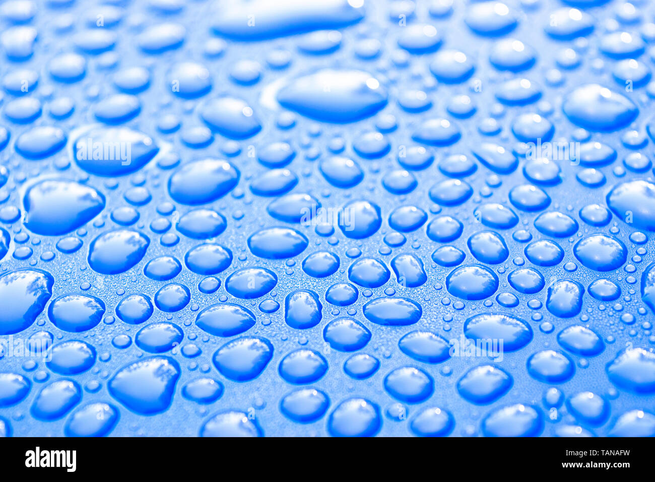 Transparente noch Wassertropfen auf hellblauem Hintergrund. Blaues Wasser tropfen. Tropfen Regen auf Glas. Blau abstrakten Wassertropfen Hintergrund. Wasseroberfläche Stockfoto