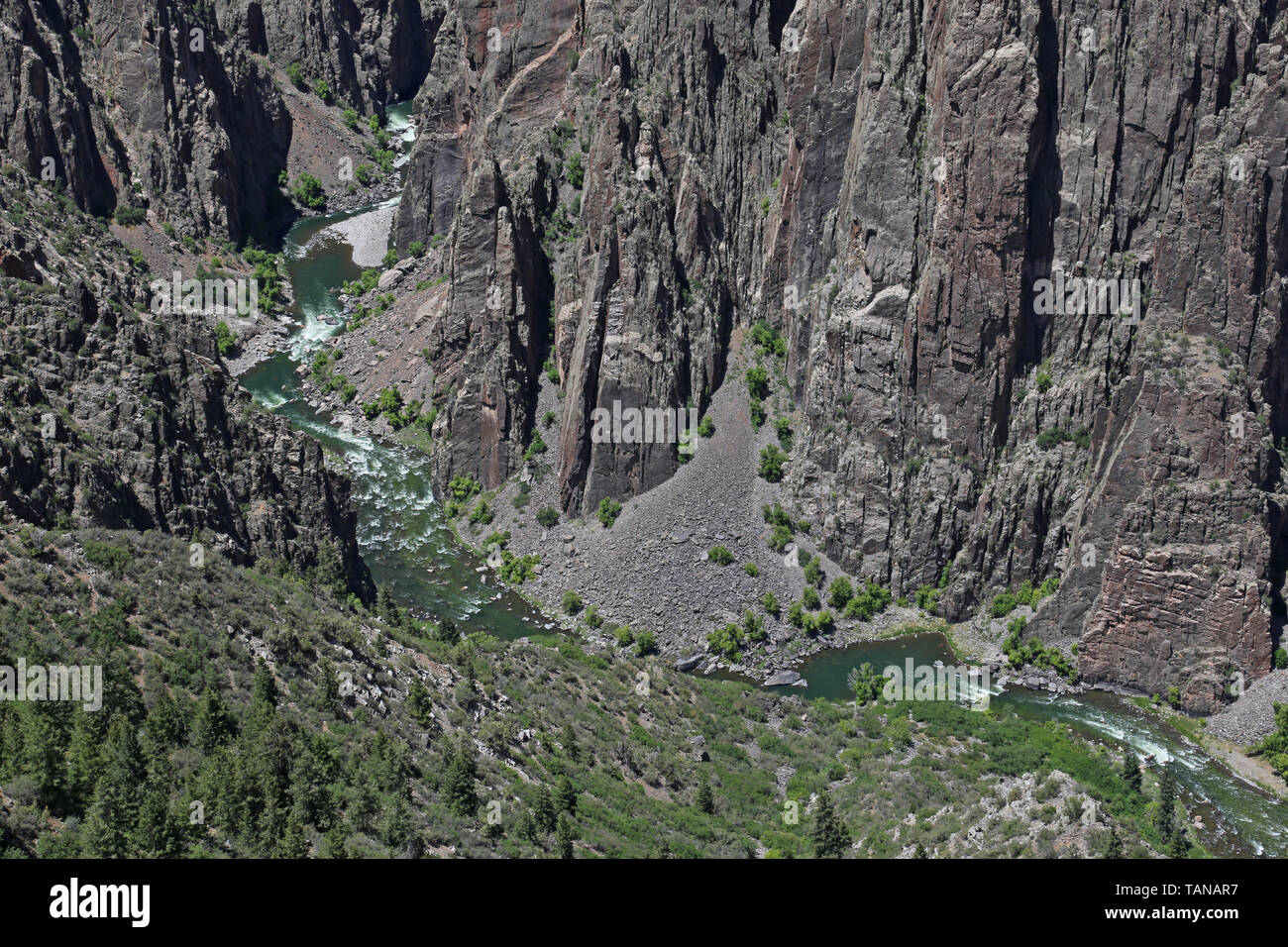 Der Gunnison River, der durch die Schlucht im Black Canyon des Gunnison National Park, Colorado. Stockfoto