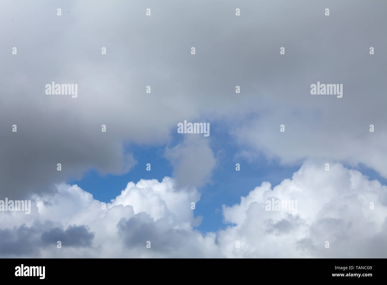 Wetter Wolken im blauen Himmel. Weiße und graue Regenwolken mit klaren Himmel hinter Stockfoto