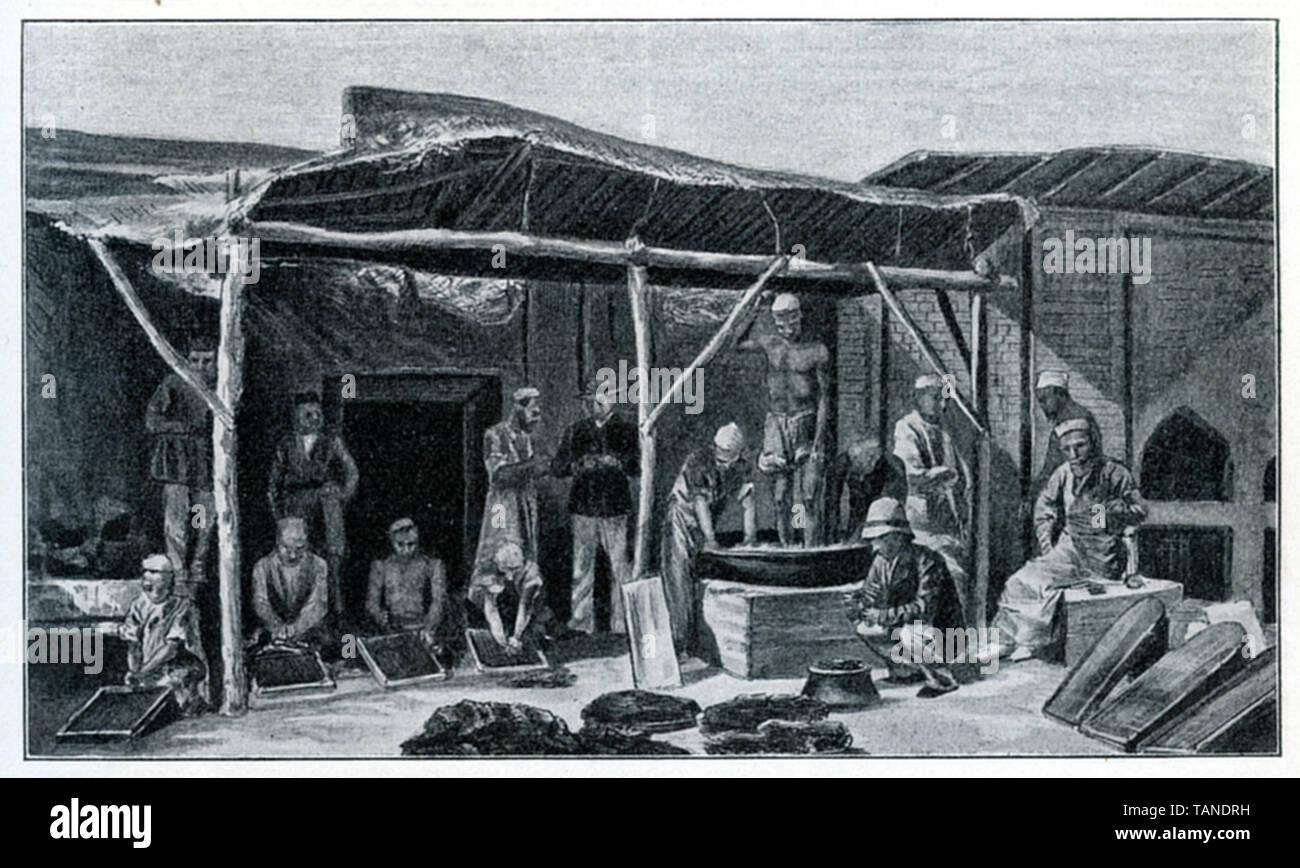 Die Opiumproduktion in Indien Papaver somniferum, (Wirtschaft Buch, 1915) Stockfoto