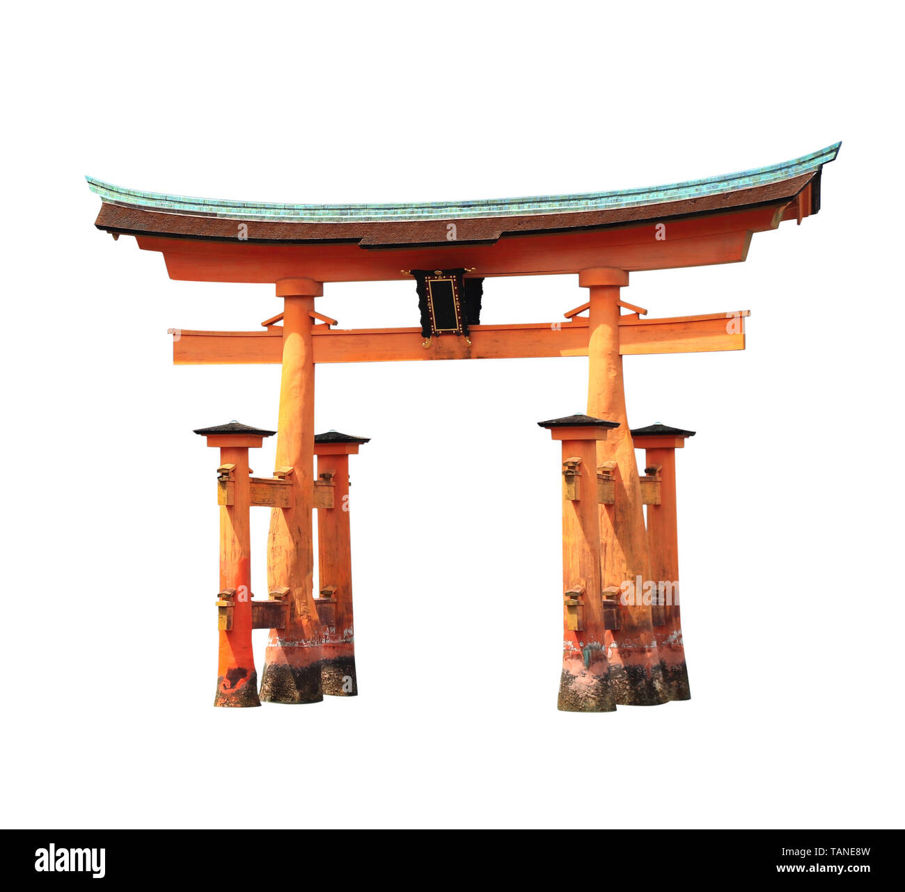Schwimmende Torii Tor (O-Torii), Itsukushima Schrein, der Insel Miyajima, Hiroshima, Japan. UNESCO-Weltkulturerbe. Auf weissem Hintergrund Stockfoto