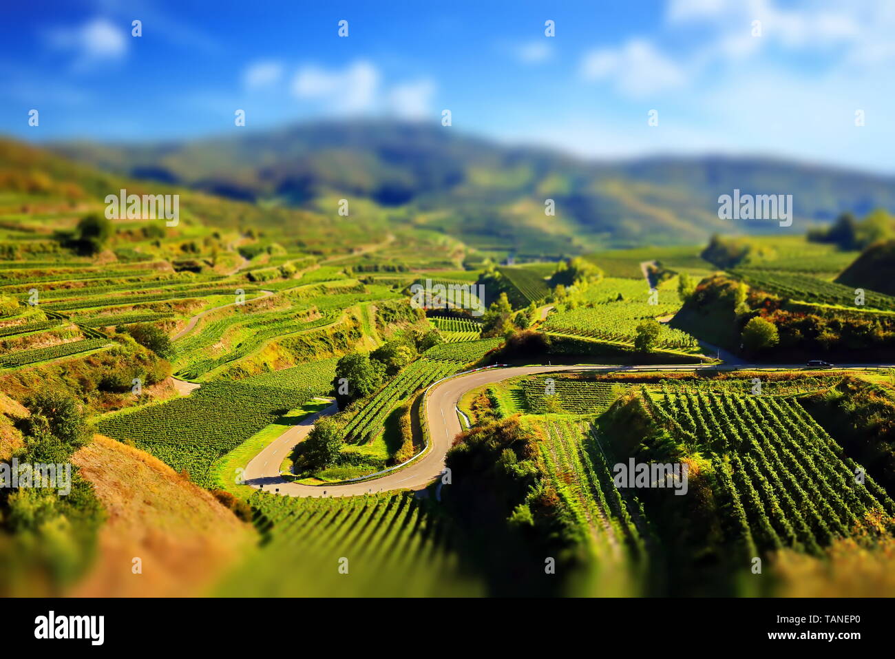 Kaiserstuhl ist ein Weinbaugebiet in Deutschland Stockfoto