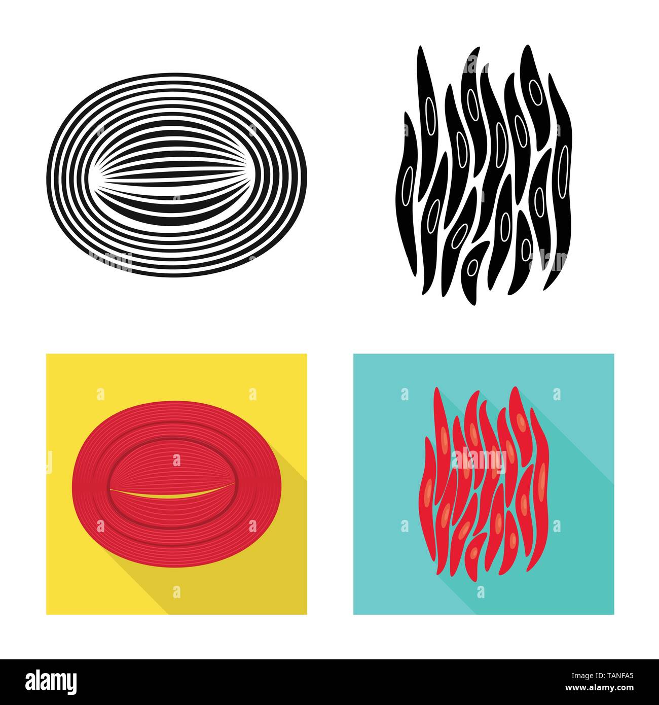 Vektor Design der Faser und muskulös Symbol. Satz von Faser- und Körper vektor Symbol für das Lager. Stock Vektor